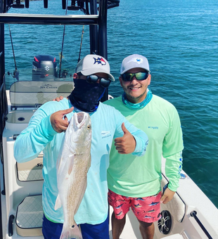 Redfish runs in season